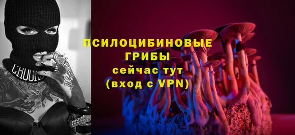 бошки Нязепетровск
