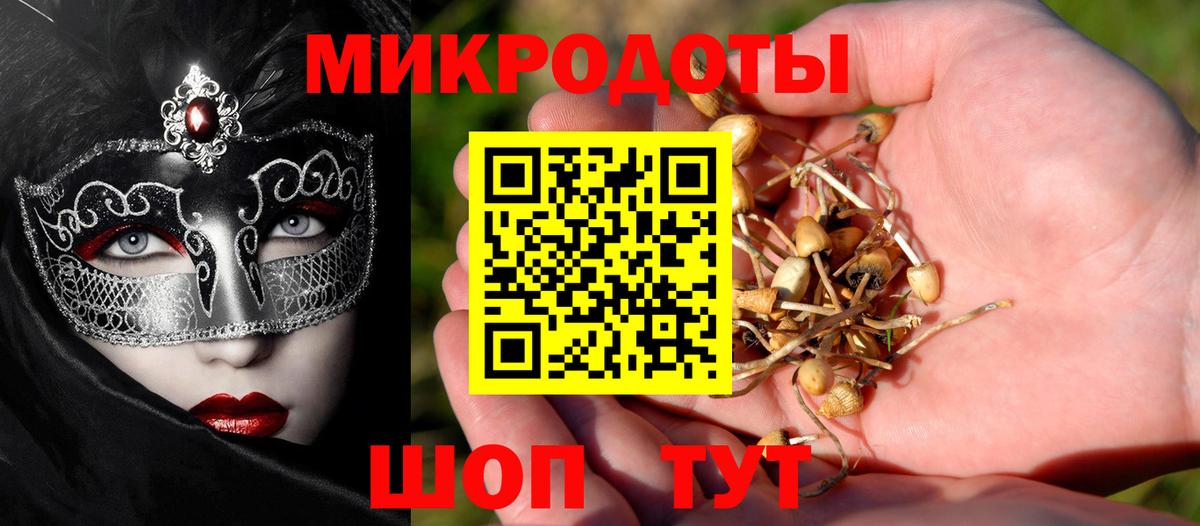 Псилоцибиновые грибы прущие грибы Курганинск